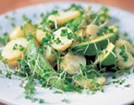 recepten vandaag salade salade gekookte aardappels advocado tuinkers
