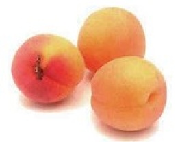 recept abrikoos